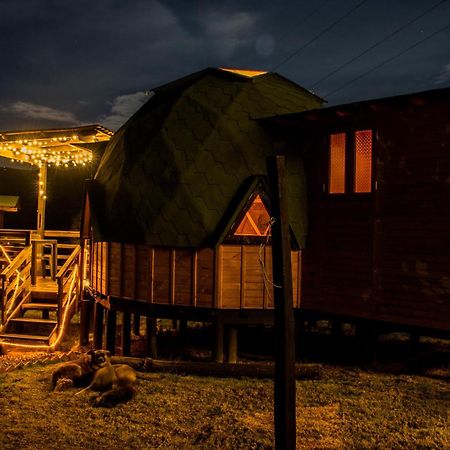 Los Nopales Glamping Sáchica Dış mekan fotoğraf