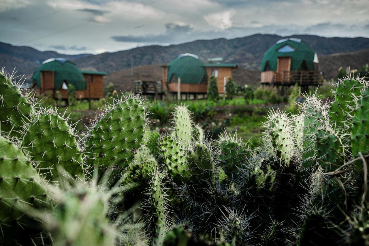 Los Nopales Glamping Sáchica Dış mekan fotoğraf