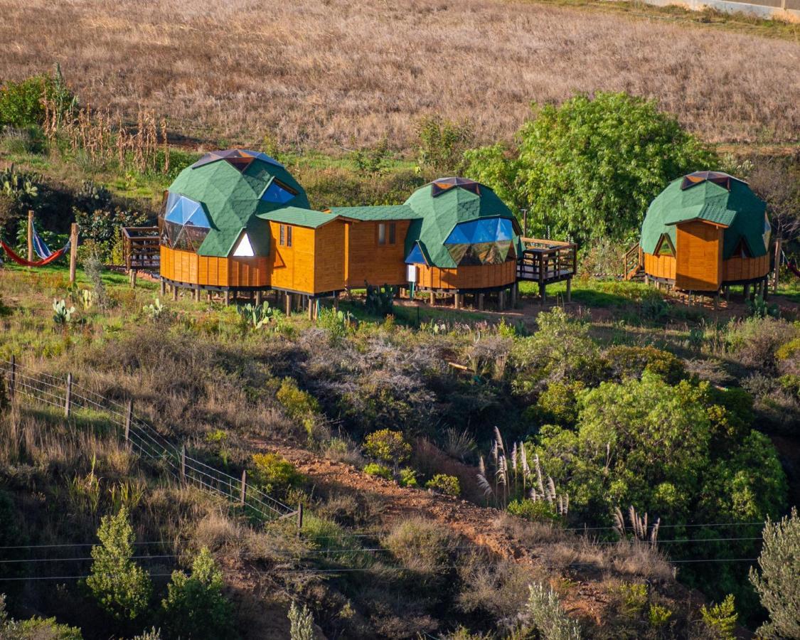 Los Nopales Glamping Sáchica Dış mekan fotoğraf