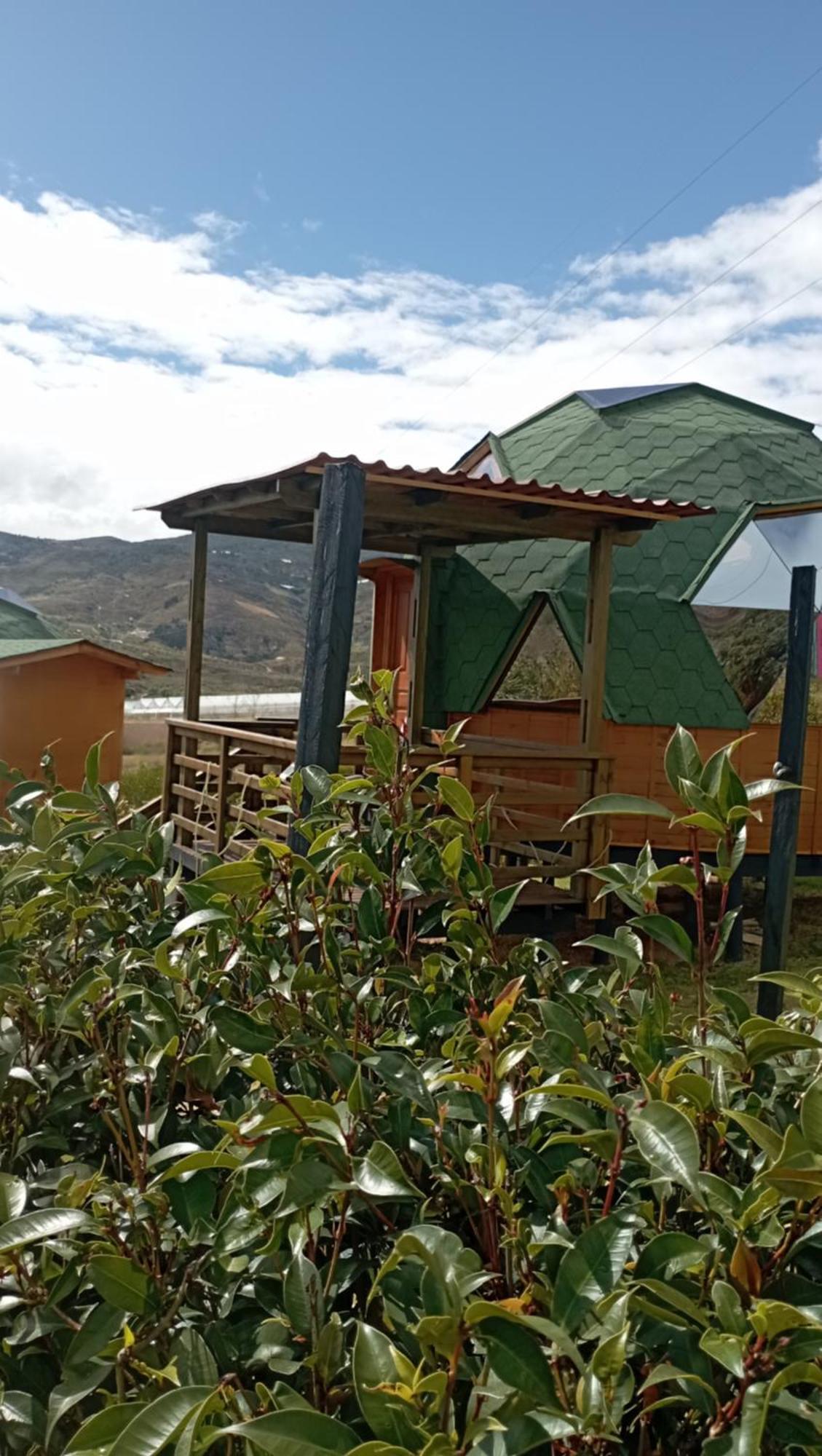 Los Nopales Glamping Sáchica Dış mekan fotoğraf